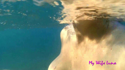 My Wife Luna: Follada en el playa