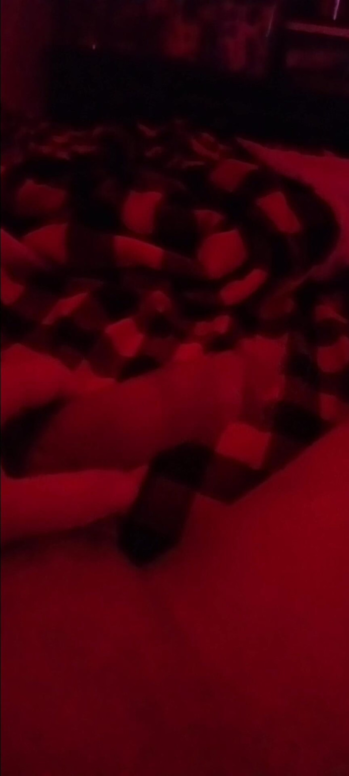 Jcrazy: Caresser Jcrazy86