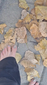 Des Feuilles Sèches Se Craquent Avec Des Pieds Nus Sexy