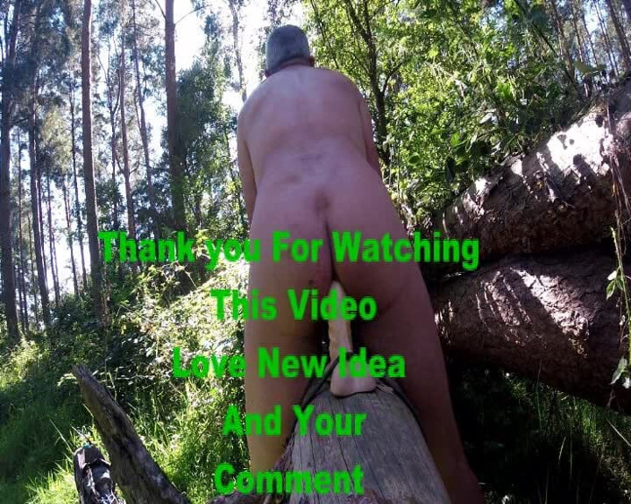 Andy: Menunggang Balak di Dalam Hutan