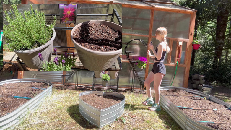 Destination Kat: Spring Greenhouse Tour