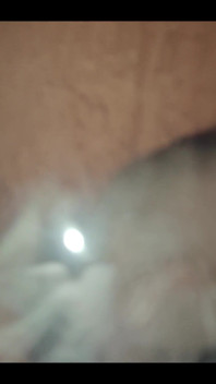 749771317682647040.mp4