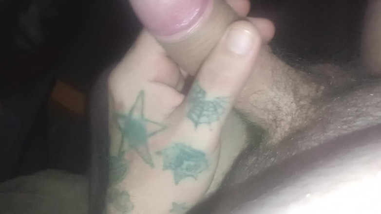 SimpleBulge0: Schwanzstudio, erstes video