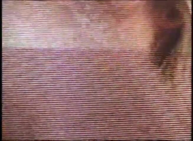 VOP Porno: 서로 쾌락을 느끼는 발정난 금발 레즈